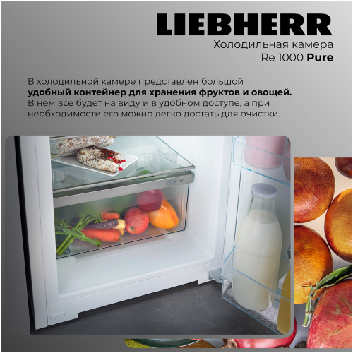 Однокамерный холодильник Liebherr Re 1000-20 001 фото 3
